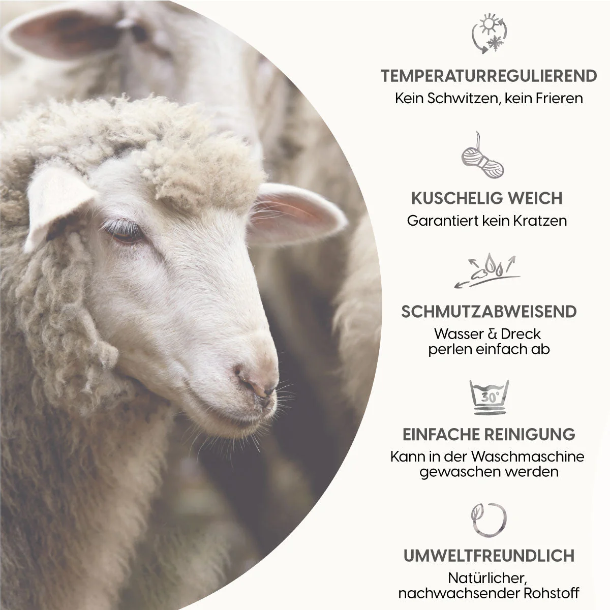 Vorschaubild 13